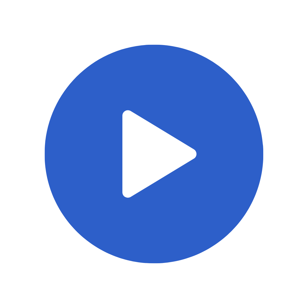 Play button vector image